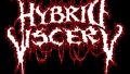 hybridviscery1.jpg