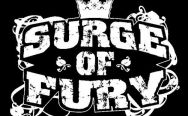 surgeoffurylogo.jpg surgeoffurylogo.jpg